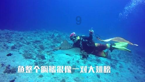 “不响”的尚雯婕,也是浪漫主义的疯子